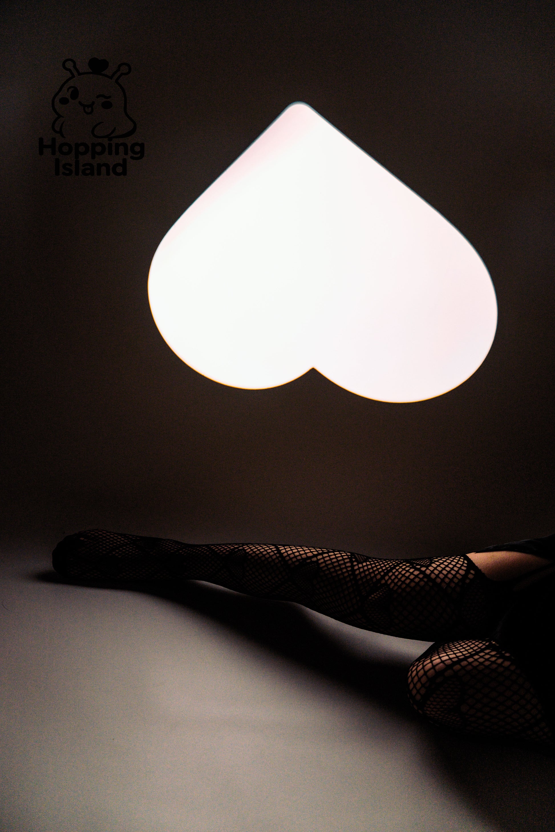 HI Floral Garter Fishnet Tights with Heart Pattern Black Lace Mesh Pantyhose