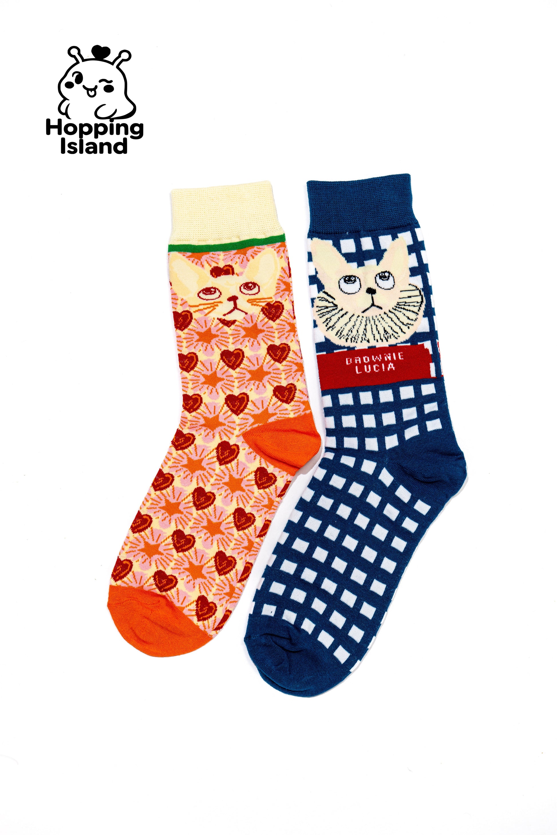 2 Pairs Art Illustration Cat Socks Blue Orange