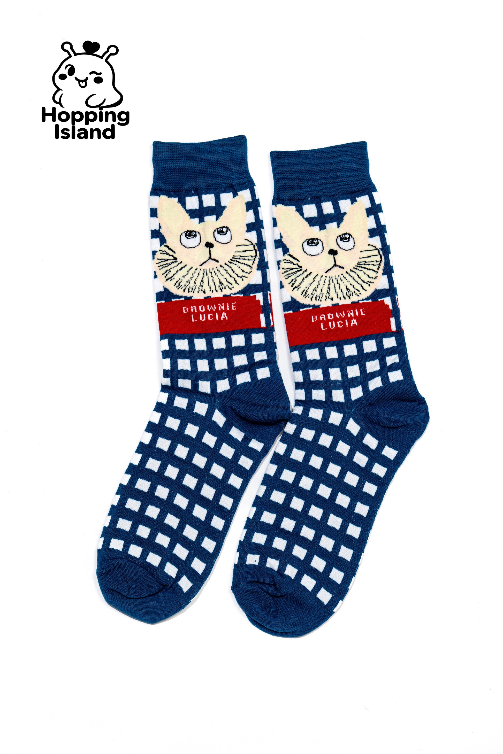 2 Pairs Art Illustration Cat Socks Blue Orange
