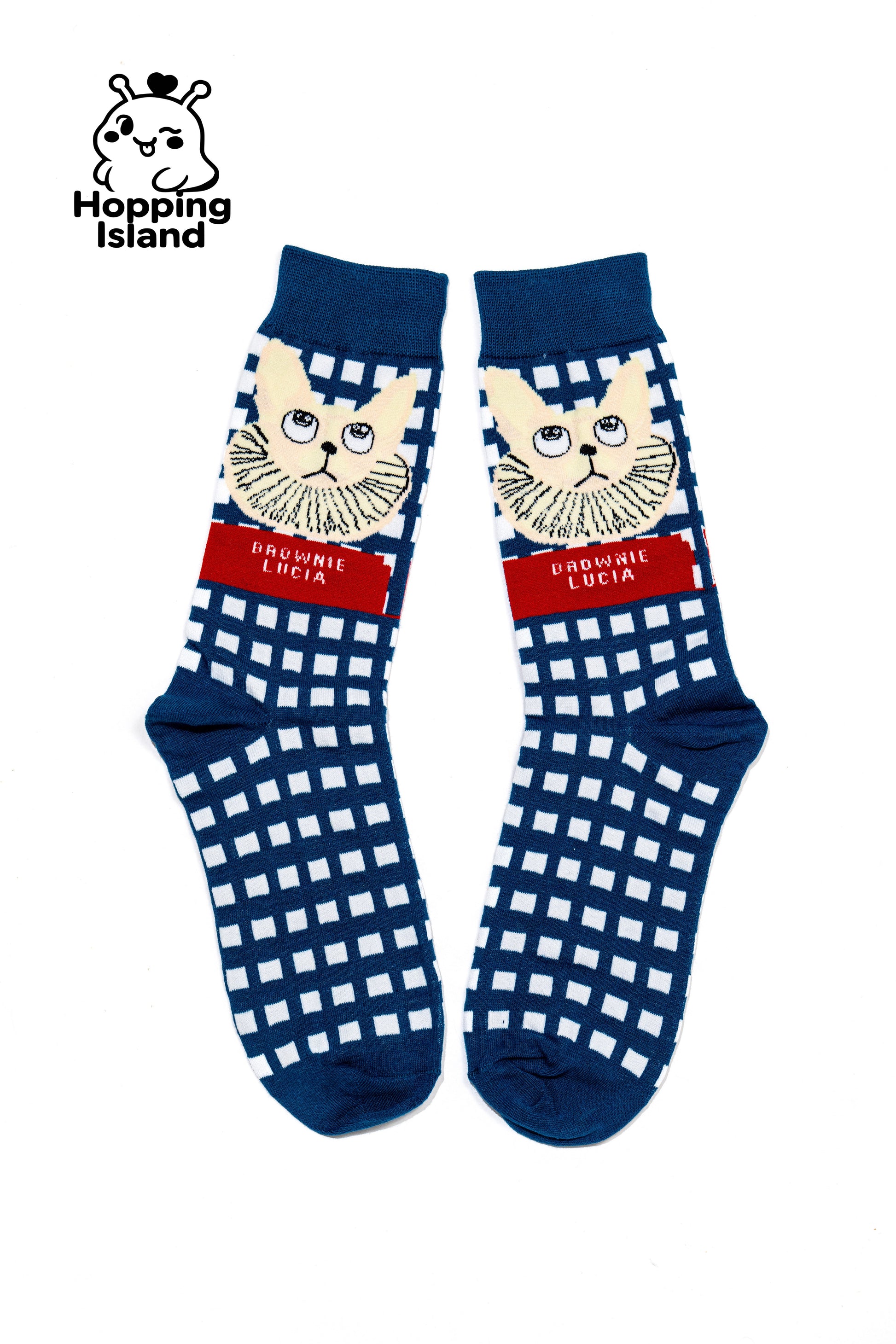 2 Pairs Art Illustration Cat Socks Blue Orange