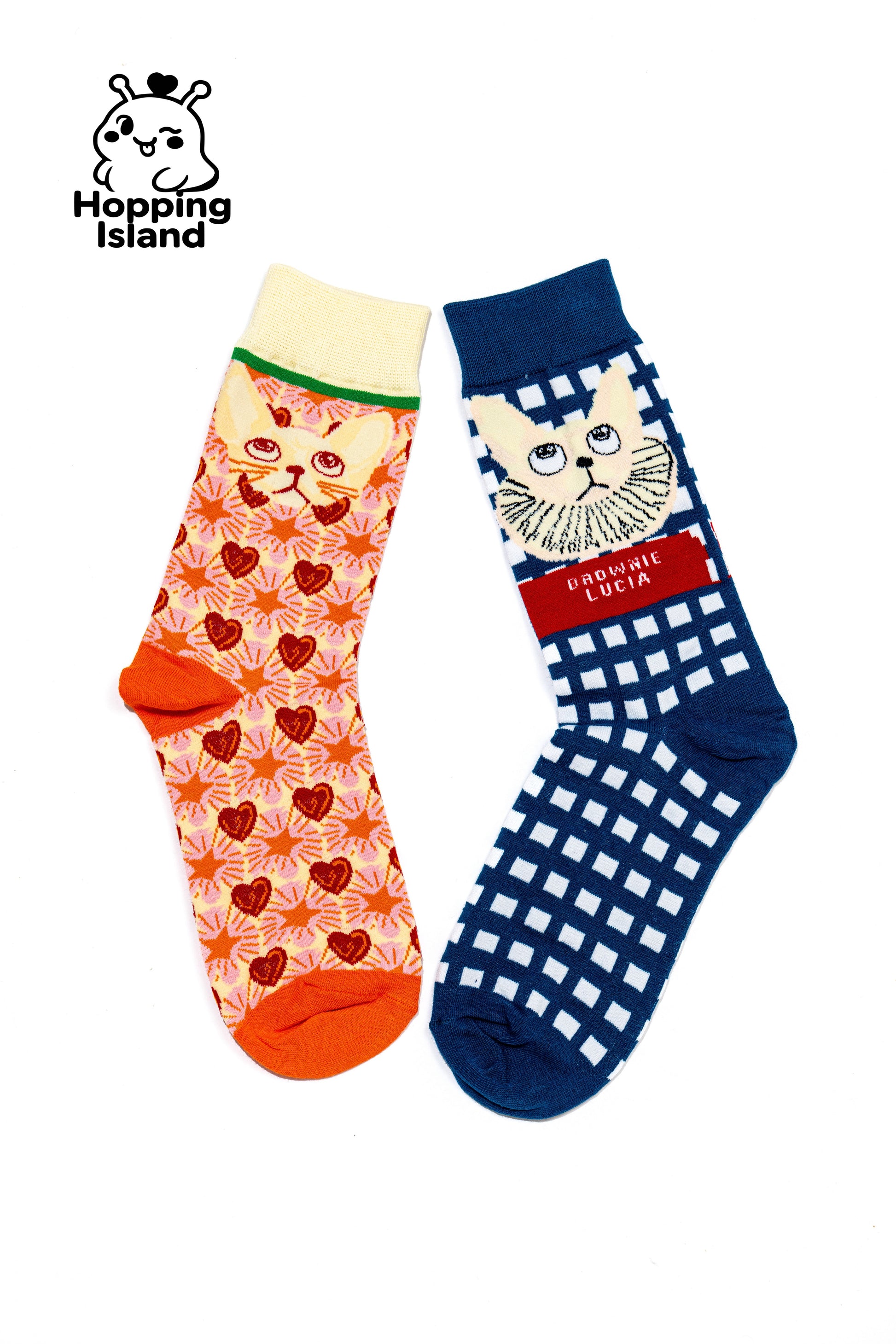 2 Pairs Art Illustration Cat Socks Blue Orange
